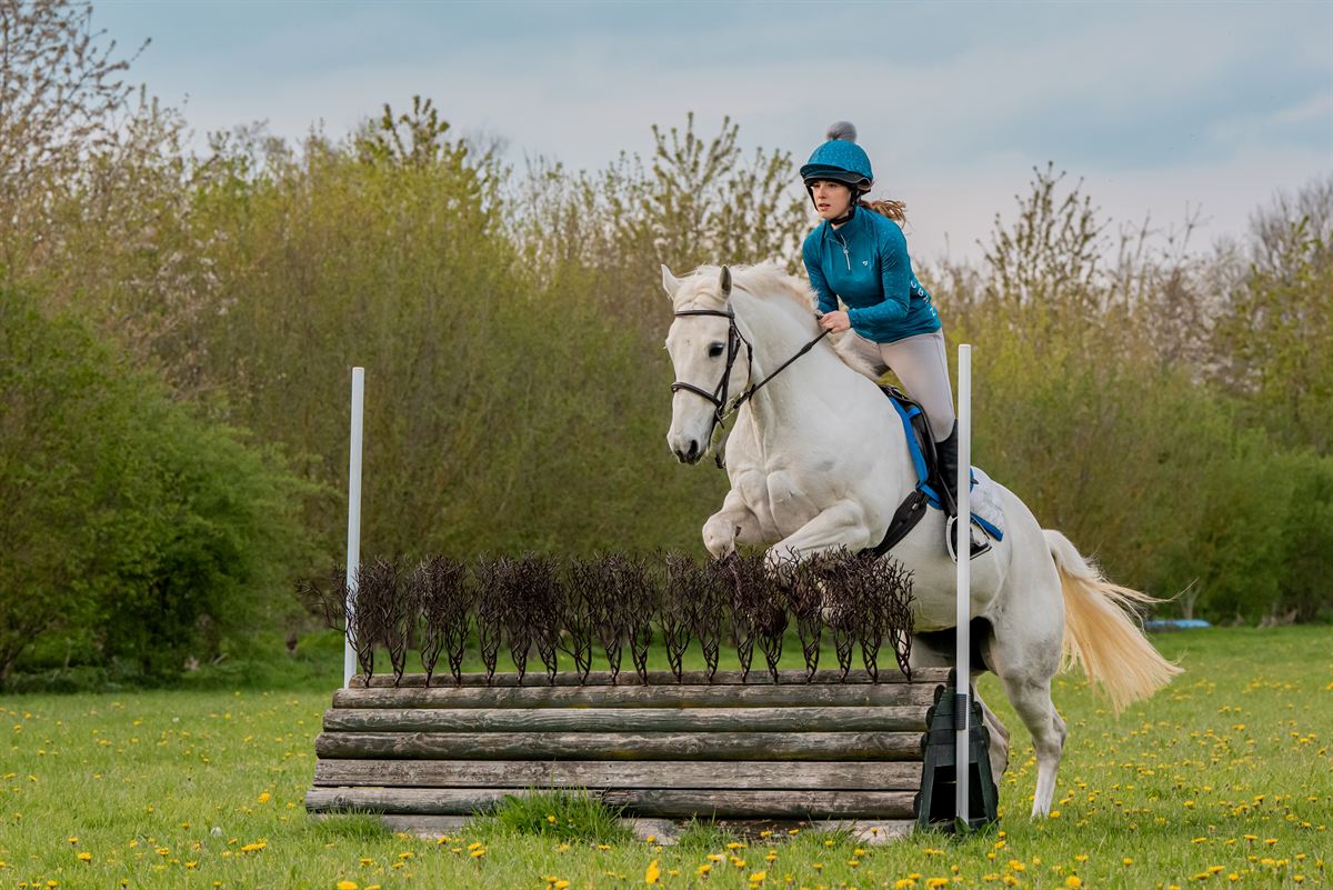 Horse cantering through Staffordshire countryside paddock