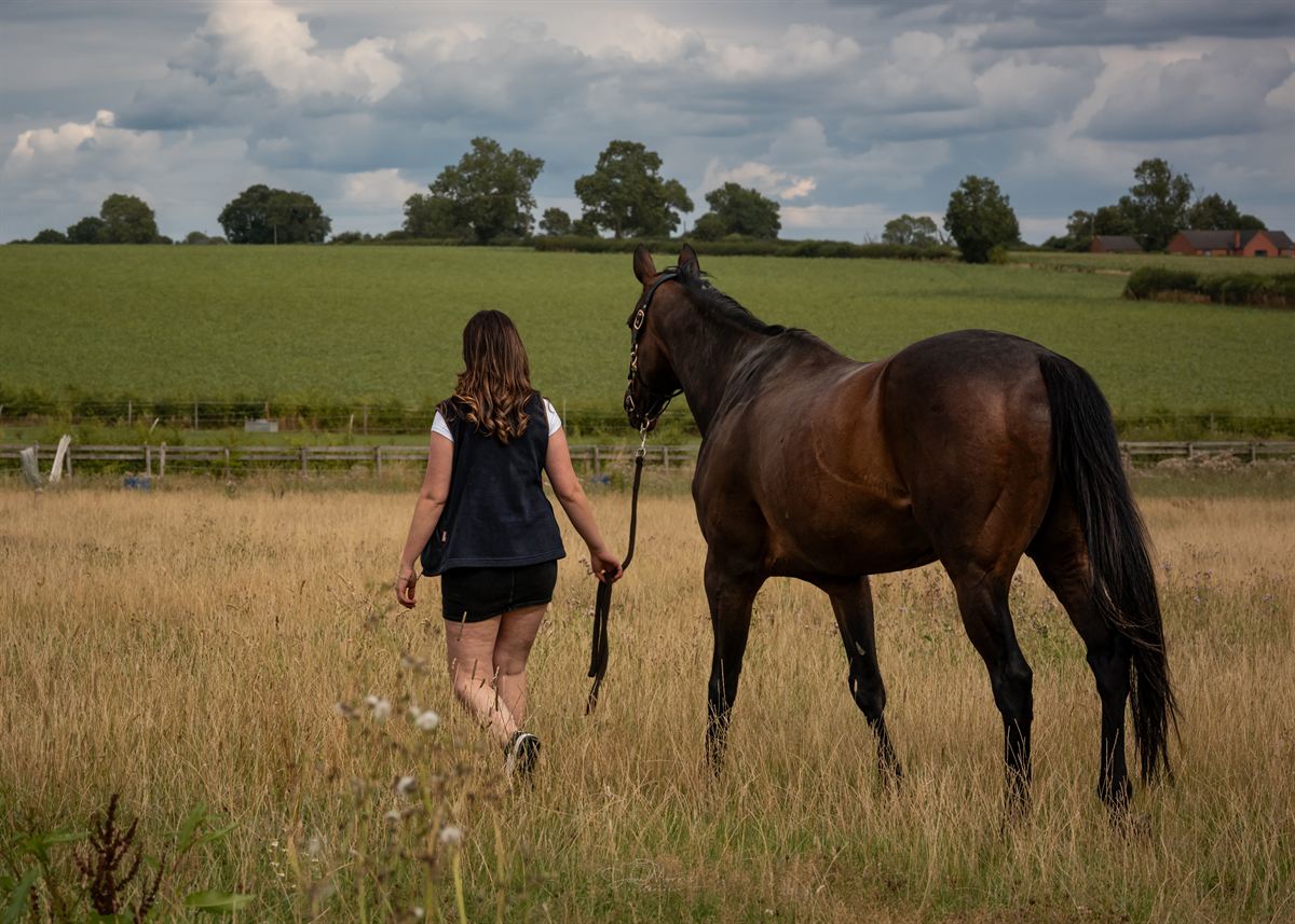 Horse and rider walking through tree-lined lane near Burton