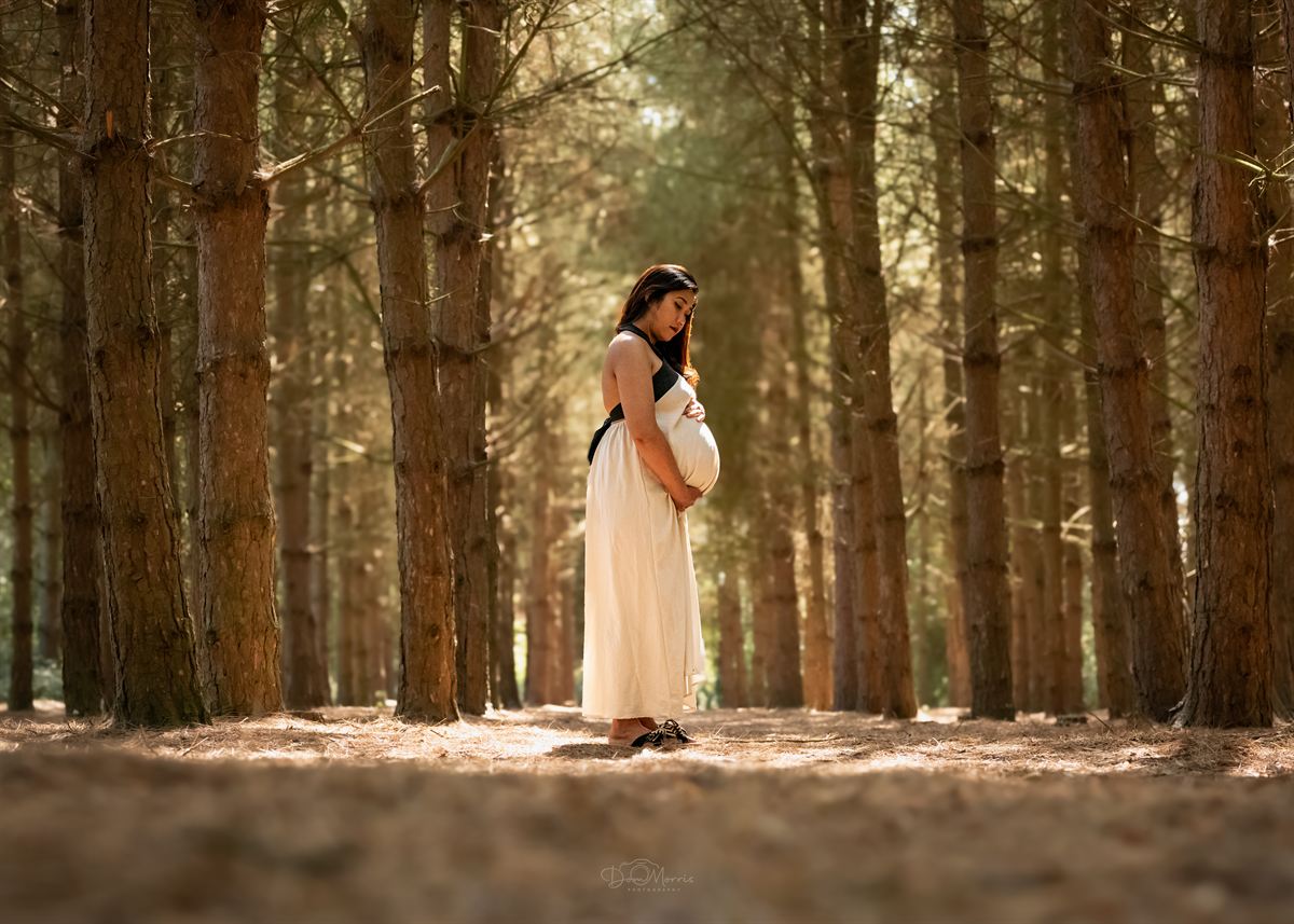 Family with dog enjoying woodland walk photography session